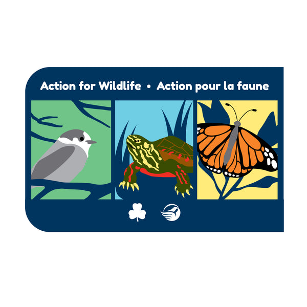 National Service Project - Action for Wildlife Crest 2024 - 2026 - we are expecting more stock soon, please click on the picture and leave your email, you will be notified once stock arrives