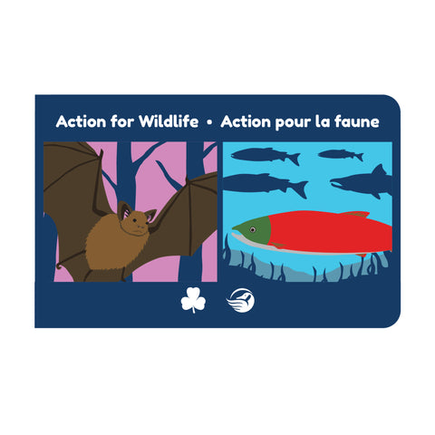 National Service Project - Action for Wildlife Crest 2024 - 2026 - crest part #2