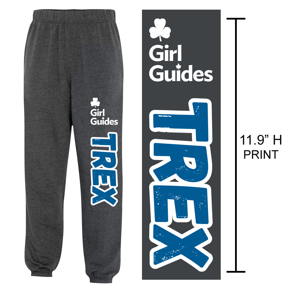"TREX" Youth Sweatpants - ATCY2800 - Dark Heather Grey