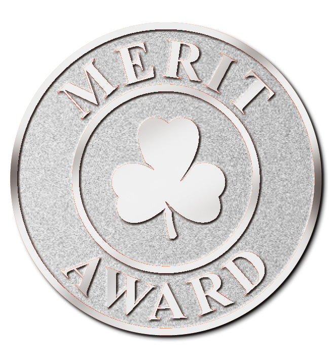 MERIT AWARD PIN - SILVER