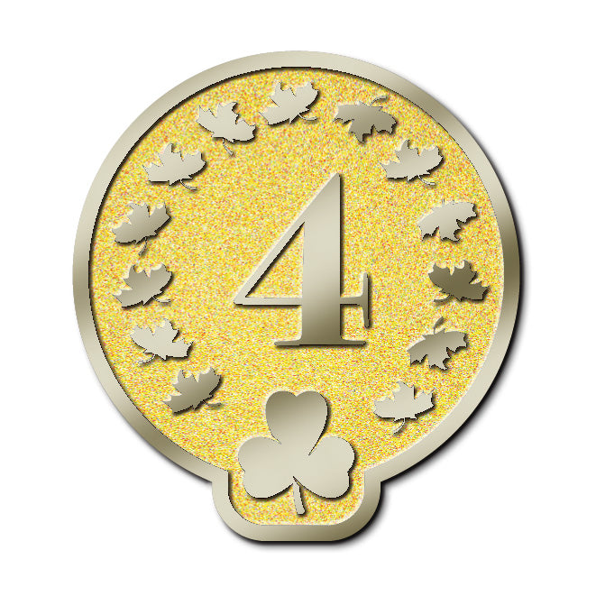 MEMBERSHIP PIN - YEAR 04