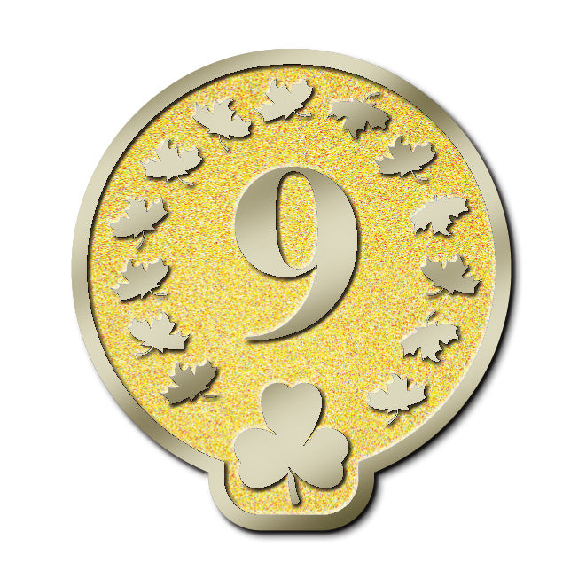 MEMBERSHIP PIN - YEAR 09