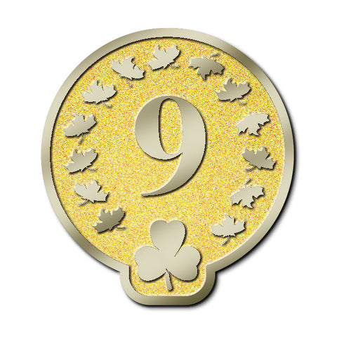 MEMBERSHIP PIN - YEAR 09