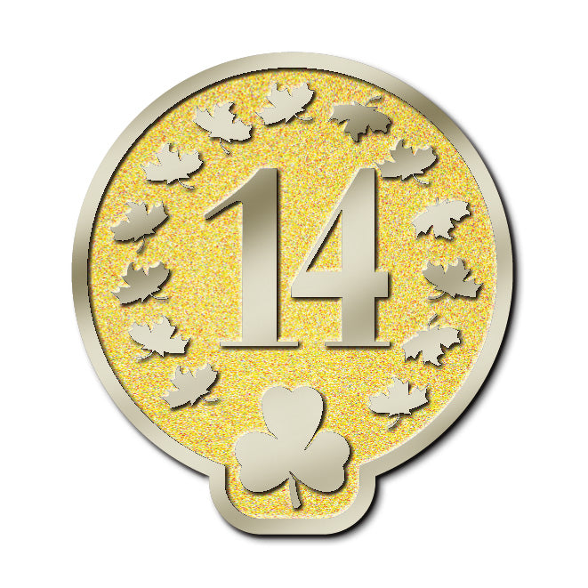 MEMBERSHIP PIN - YEAR 14