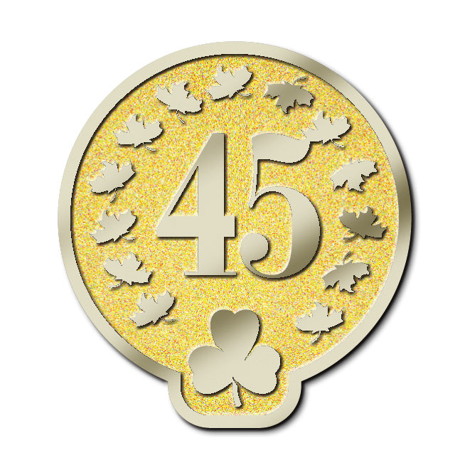 MEMBERSHIP PIN - YEAR 45