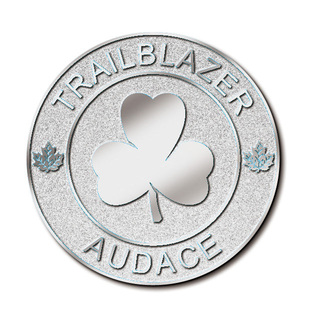 TRAILBLAZER SILVER LEADERSHIP AWARD The Girl Guide Store By Positive trailblazer-silver-leadership-award-the-girl-guide-store-by-positive