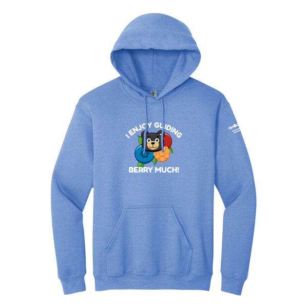 NL COUNCIL - ADULT PULLOVER HOODIE - CAROLINA BLUE - 1850
