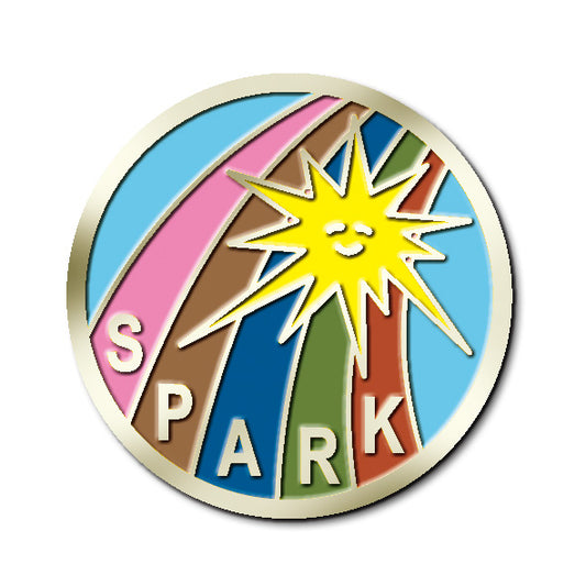 SPARK ENROLMENT PIN