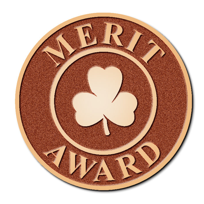 MERIT AWARD PIN - BRONZE