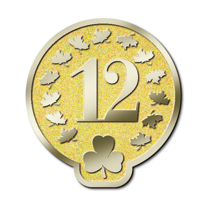 MEMBERSHIP PIN - YEAR 12