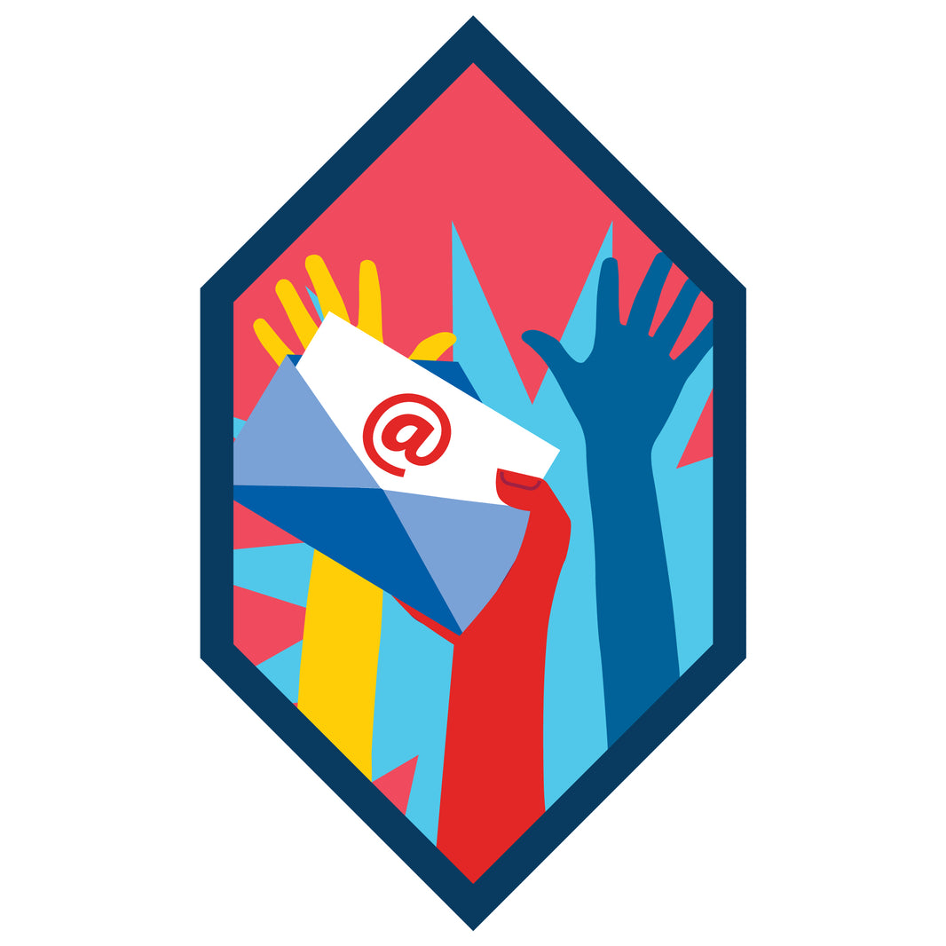 All Guides Page 3 The Girl Guide Store by Positive Identity