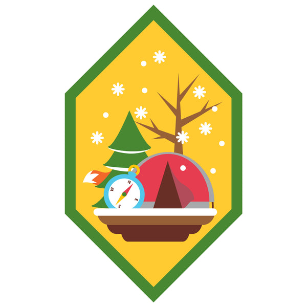 Pathfinder Badges – The Girl Guide Store by Positive Identity