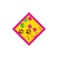 GF-SPARK-INTO THE OUTDOORS-CAMPING SKILLS AND ADVENTURES